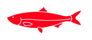 Red herring